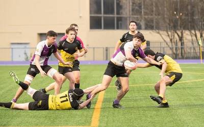 Porrot mingarria Kanpanzar Arrasaterentzat