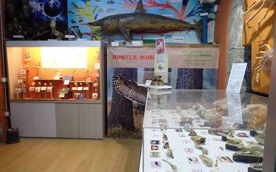 Askotariko ekimenez beteriko urtea izango da Hontza Museoan