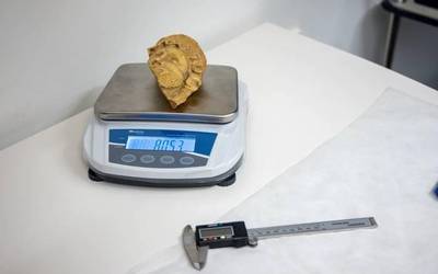 Aldundia akusazio gisa uxatu zuten Bakoren buruaren auzian