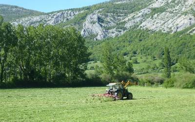 Abeltzainak eta Europako dirulaguntzak