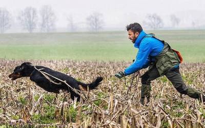 Jesus Baladok eta bere txakurrek Europako Setter Gordon txapelketa irabazi dute kategoria guztietan