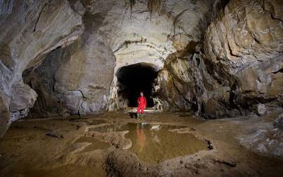 Historiaurreko animaliak ikusiko dituzte domekan Arrikrutzen