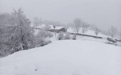 Dururaino heldu da elurra