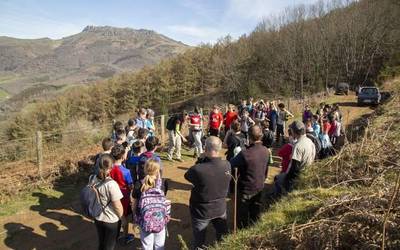 [ARGAZKIAK] Gaztainondoak landatu dituzte Berako Ricardo Baroja eskolako ikasleek