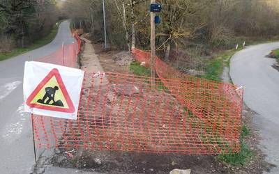 Bidegorria egiteko lanak basoan hasi dira