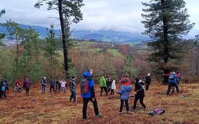 Durangoko ikasleek 50 arbola landatuko dituzte domekan