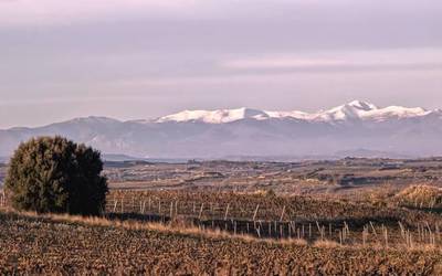 Eguraldiari dagokionez bederen, giro atsegina