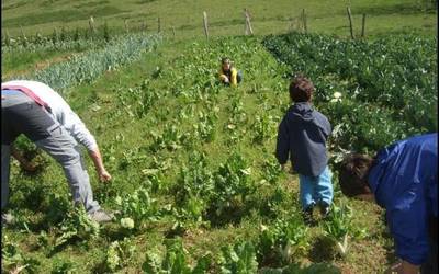 Baserritar Misto Profesionala programaz informatzeko saioak antolatu ditu aldundiak