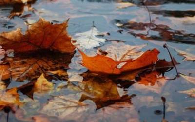 Eguraldi aldaketa eta gaurkotasuneko gaiak