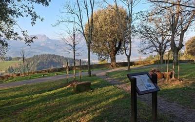 Garaiko Udalak haritzak birlandatu ditu Momoitioko San Juanen