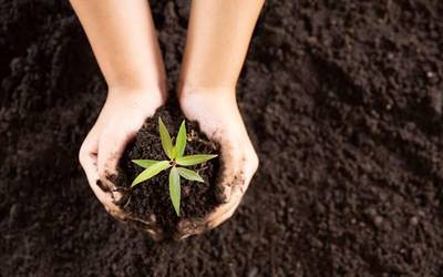 Baztandarrek egindako konposta banutuko da martxoaren 27an