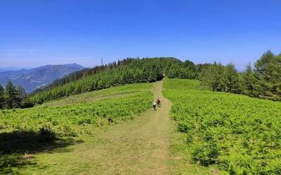 Joan den zapatuan bi soraluzetarrek jasotako txakurren erasoaren aurrean, adierazpena kaleratu du Soraluzeko Udalak