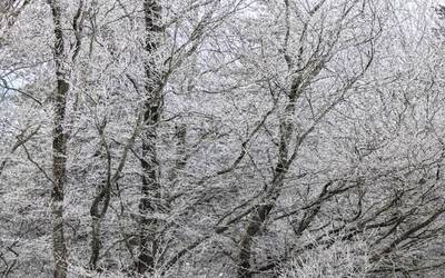 Aldaketa egonkortu da