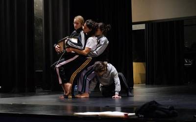 'Etena dena' dantza ikuskizuna, Altsasun