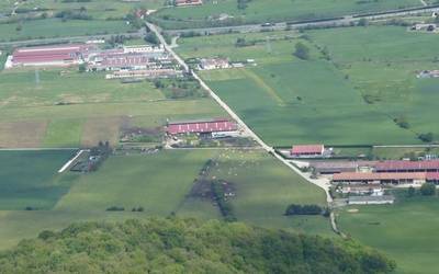 Jeingenekoari ustiategi batzuen erabilera aldatzeko baimena eman diote