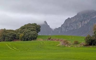 Monotonia ez da politikara mugatzen