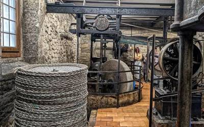 Olioturismoa: goraka ari den kulturari begira