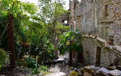 Koloreen paradisua Badaian