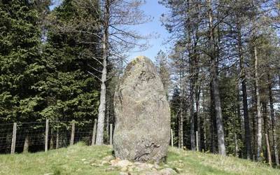 Dolmenen Ibilbidean aurkitutako pieza arkeologikoak jarriko dituzte ikusgai Bergaran