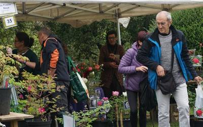 Boluntarioak behar dituzte Aiako Landare Berezien Azokarako