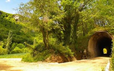 Vasco-Navarro bide berdearen azpiegitura berrikusiko dute