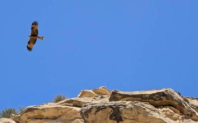 Giro eguzkitsuko azken eguna