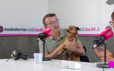 Lorenzo Etxarri: “Urtean 200 animalia jasotzen ditugu, gehienak, txakurrak eta katuak”