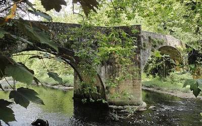 Geoparkeak 'Sendabelarren bidean' txangoa egingo du Oikian, Mentxu Amunategiren eskutik