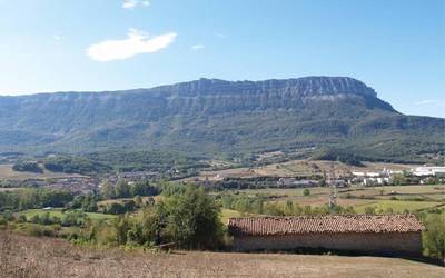 Udalak sei larreren erabilera enkante bidez emanen du