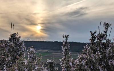 Iganderaino ez da bueltatuko