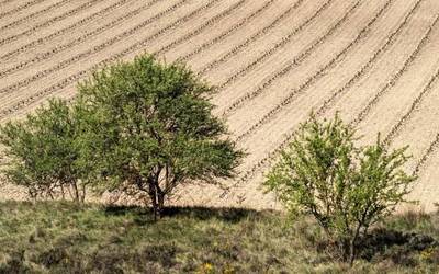 Argitasuna, bere horretan