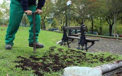 Amurrioko Udalak Indesari eskatu dizkio udaleko garbiketa eta lorezaintza zerbitzuak