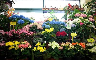 'Udaberriak saria dakar Alde Zaharrean', kanpaina martxan jarri dute saltokiek