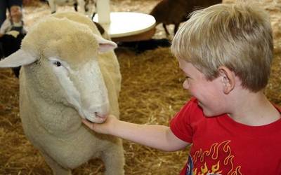 Zelako harremana nahi dugu Aiaraldean gizaki ez diren animaliekin?