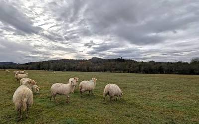 Antzera, askotariko giroekin