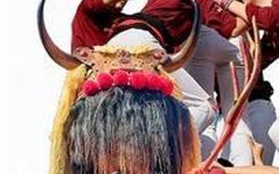 Flotillan atxiloketak, gaurkotasuneko gaiak, herrietako egitarauak eta Errigora kutxa irabazlea