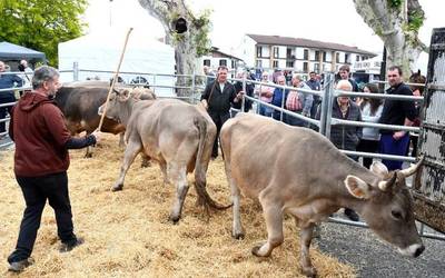 Doneztebeko Udaberriko Feria eta XVII. Ahari Lehiaketa eginen dute ortziralean