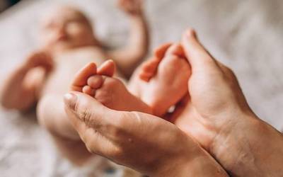 LAGA gizarte zerbitzuak hainbat solasaldi eta tailer antolatu ditu