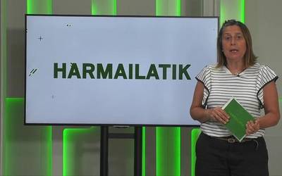 'Harmailatik': Mondrateren ospakizunak zaleekin; 300 dardolari Antzuolako txapelketan; Zabaletarrak protagonista Gorlako Igoeran