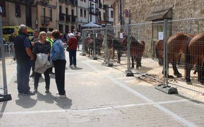 San Isidro azoka ospatuko dute zapatuan, ganadua kalera jaisteko urteroko zita