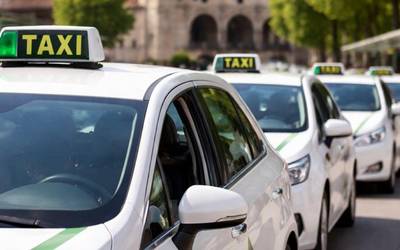 Taxien guardiak dekretuz ezarriko ditu Gasteizko Udalak
