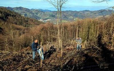 Bertoko zuhaitz espezieak landatzeko bi lursail erosi ditu Baso Biziak elkarteak