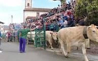 Sorogaingo bazkalekuko azienda sartzeak solasbide