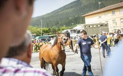 Zaldi eta ahuntz lehiaketak eta Iker Larrazabal, Arkaitz Eskuza eta Erik Jakaren partidak antolatu dituzte Orozkoko larunbateko azokan