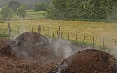 Txondorra egiten ari dira Eltzaburun