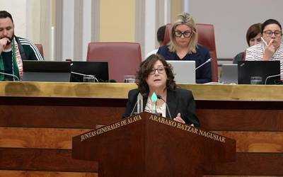 Ogasunaren ikuskapenak 77 milioi euro azaleratu ditu