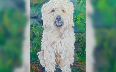 JL Torralbaren pintura erakusketa izanen da Elizondon ekainaren 5etik 21era