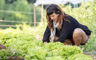 «Astero zer eta zenbat beharko duten jakiteak aunitz errazten dit lana»