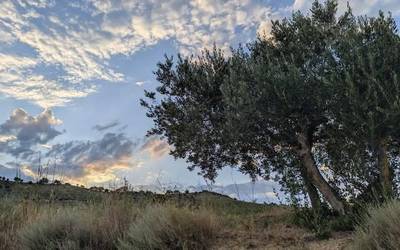 Beroaldia bere horretan mantenduko da
