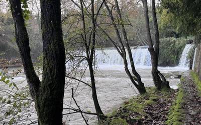 Salto txapelketa egingo dute egubakoitzean Usakon